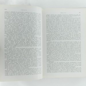 DSCN6904