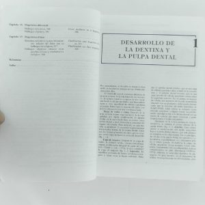 DSCN6930