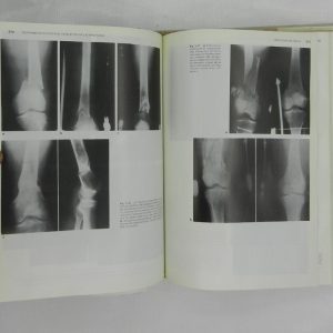 DSCN7004