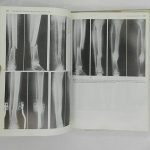 DSCN7006