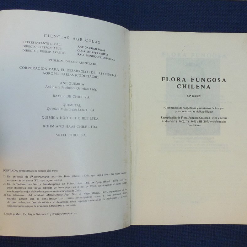 P1030439