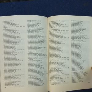 P1030441