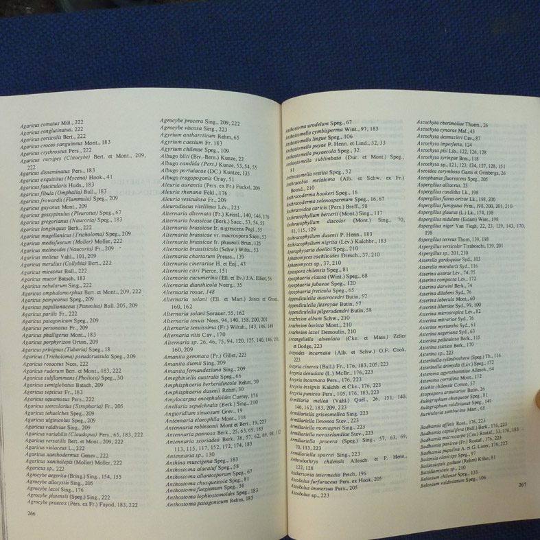 P1030441