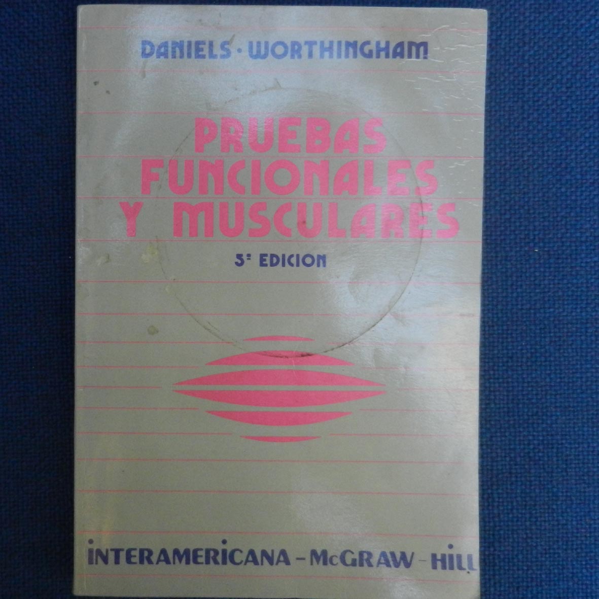 DSCN4930