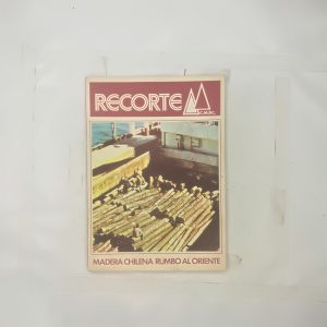 ANTIGUA REVISTA CMPC, RECORTE N°32 OCTUBRE NOVIEMBRE DICIEMBRE 1977