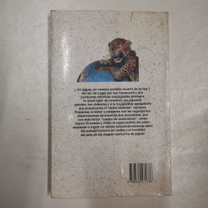 IMG_20250629_200758