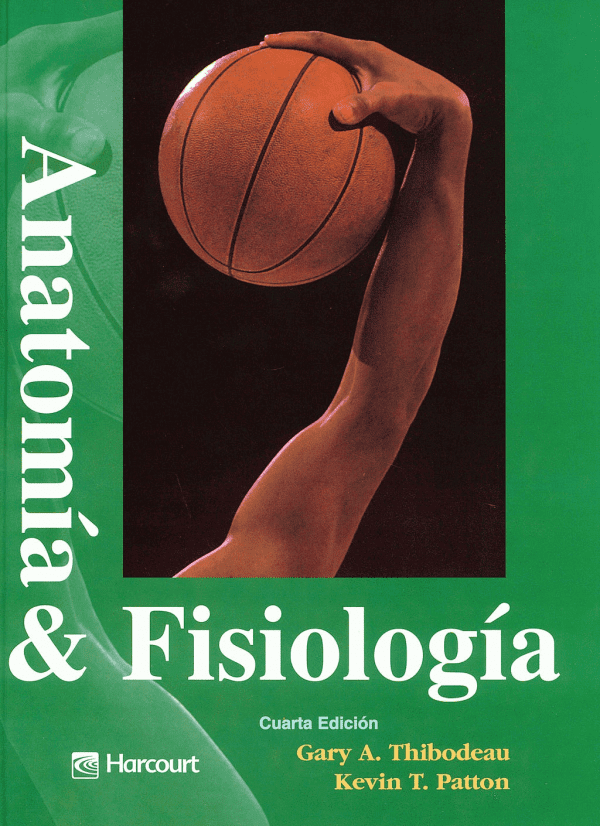 anatomia y fisiologia